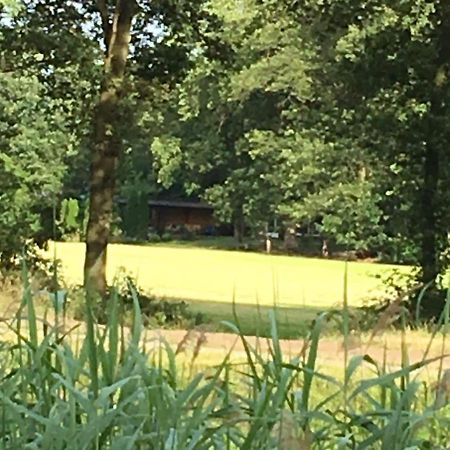 Holiday Home In Reutum Weerselo With Jacuzzi Beekdorp 外观 照片